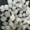 Pure Curing Salt Sea Salt